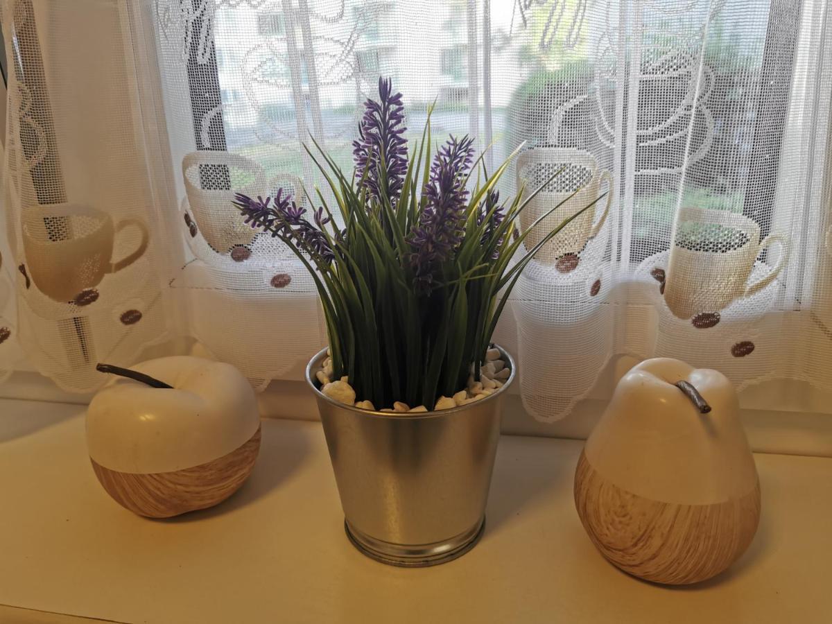 Schoene 3-Zimmer Erdgeschosswohnung Am Bergpark,Unesco,Therme,Train, Wilhelmshoeher Allee 329 Kassel Ngoại thất bức ảnh