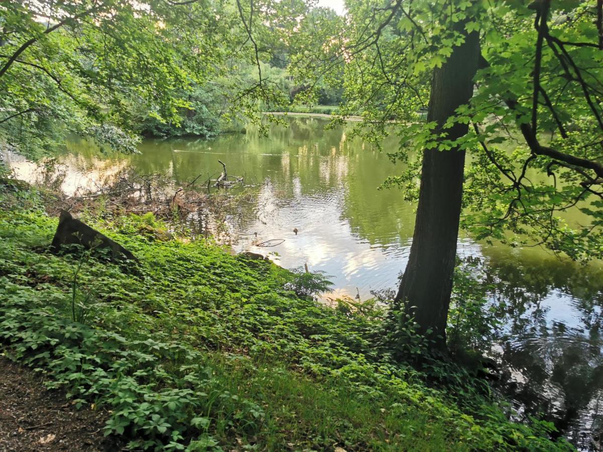 Schoene 3-Zimmer Erdgeschosswohnung Am Bergpark,Unesco,Therme,Train, Wilhelmshoeher Allee 329 Kassel Ngoại thất bức ảnh